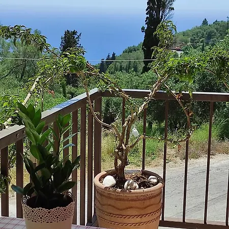 Malibu Glifada