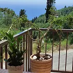 Malibu Glyfada (Corfu)