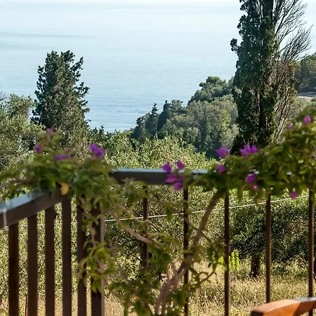 Malibu * Glifada
