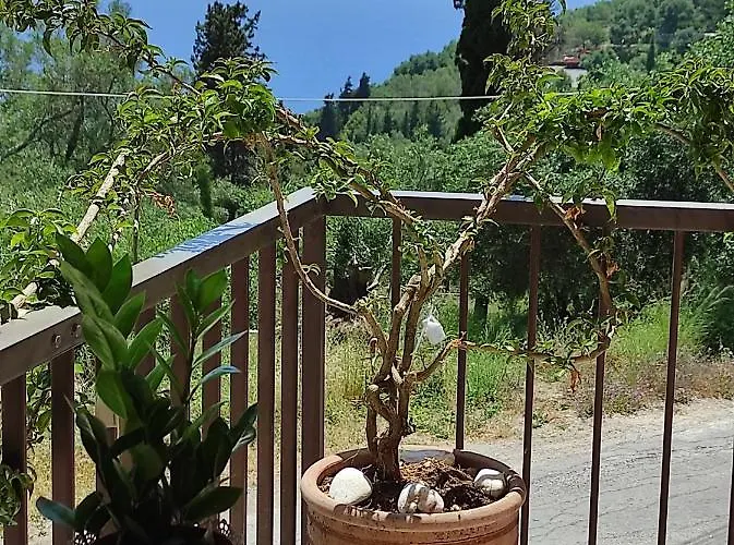 Malibu Glyfada (Corfu)